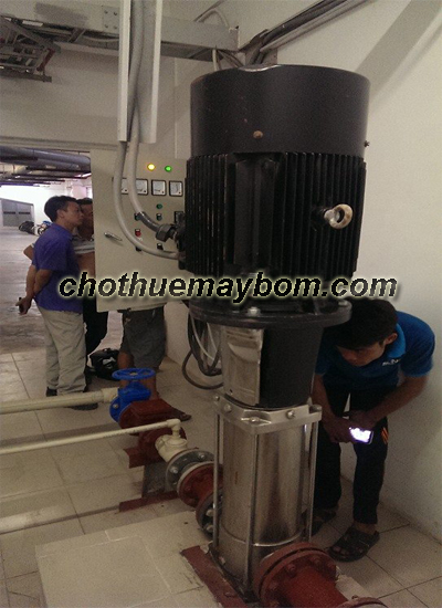 Cho thuê máy bơm trục đứng
