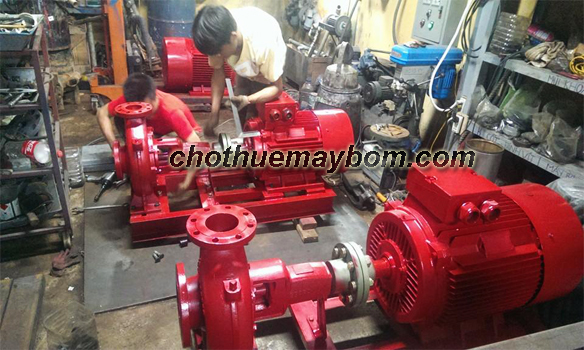 Cho thuê máy bơm trục rời
