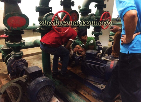 cho thuê máy bơm chạy điện