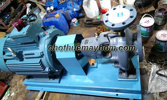 Giới thiệu dịch vụ cho thuê máy bơm nước uy tín, tin cậy trên toàn quốc