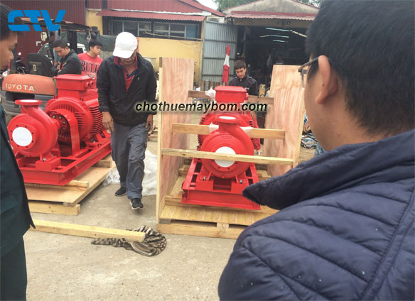Cho thuê máy bơm nước giá rẻ, nhanh chóng tại Hà Nội