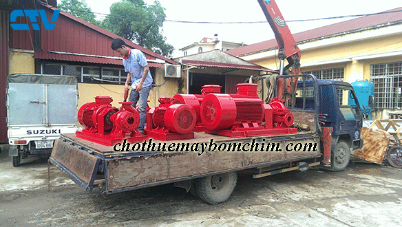 Cho thuê máy bơm nước - Phòng cháy chữa cháy