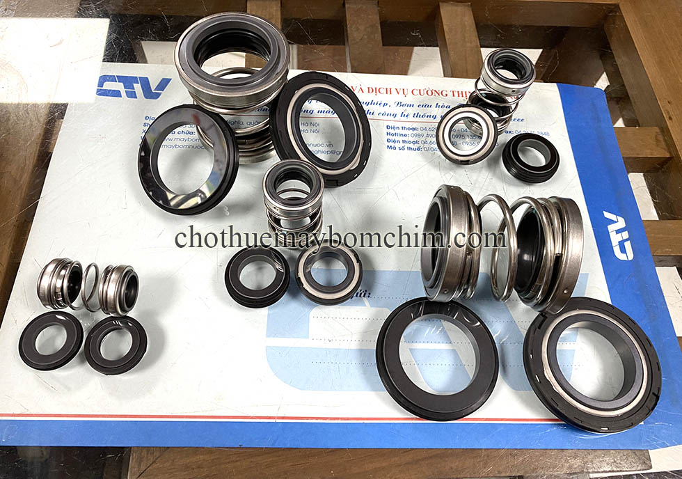 Thay phớt bơm chìm nước thải uy tín tại miền Bắc