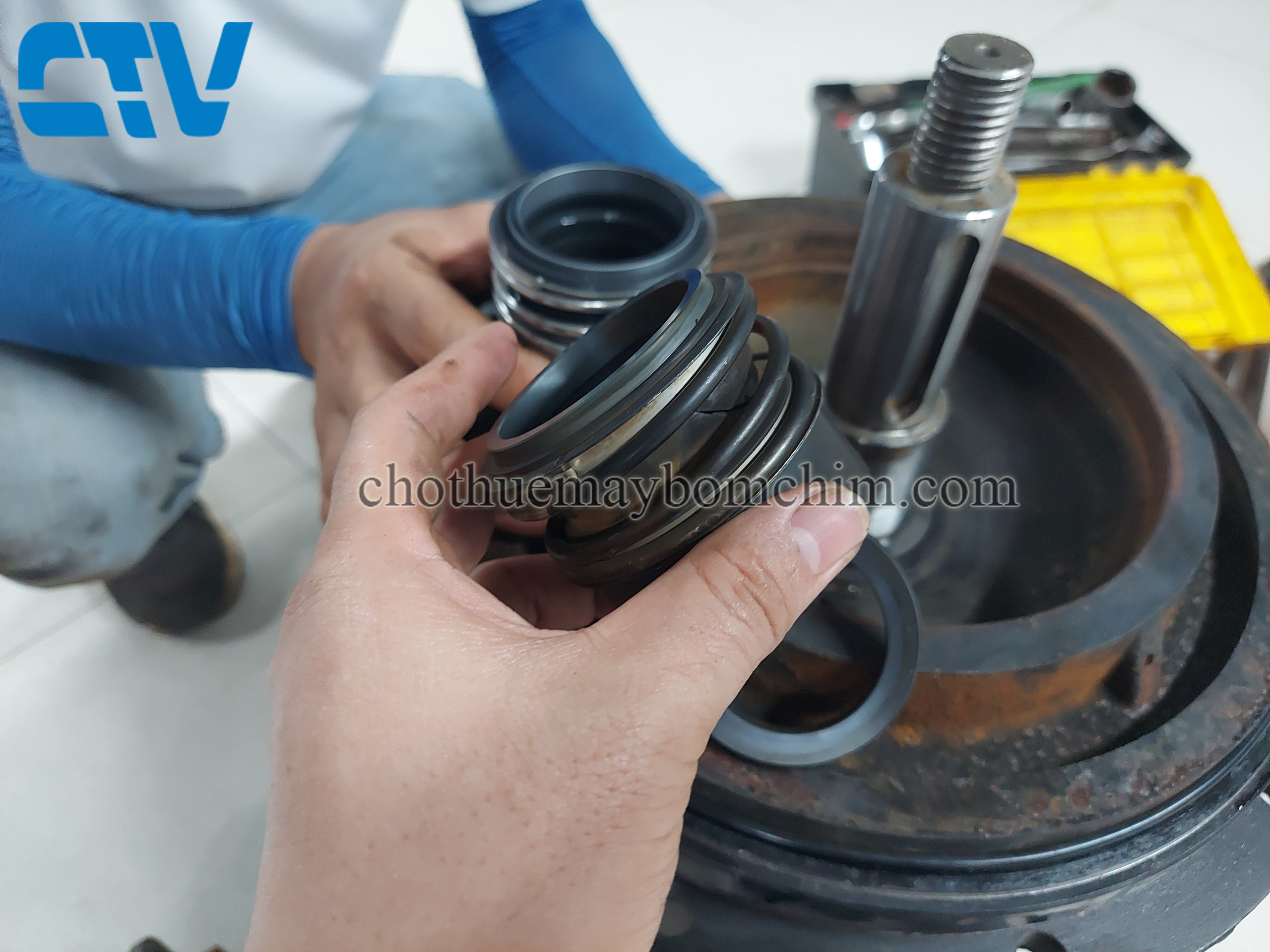 Phớt Máy Bơm Trục Đứng Chính Hãng Tại Cường Thịnh Vương