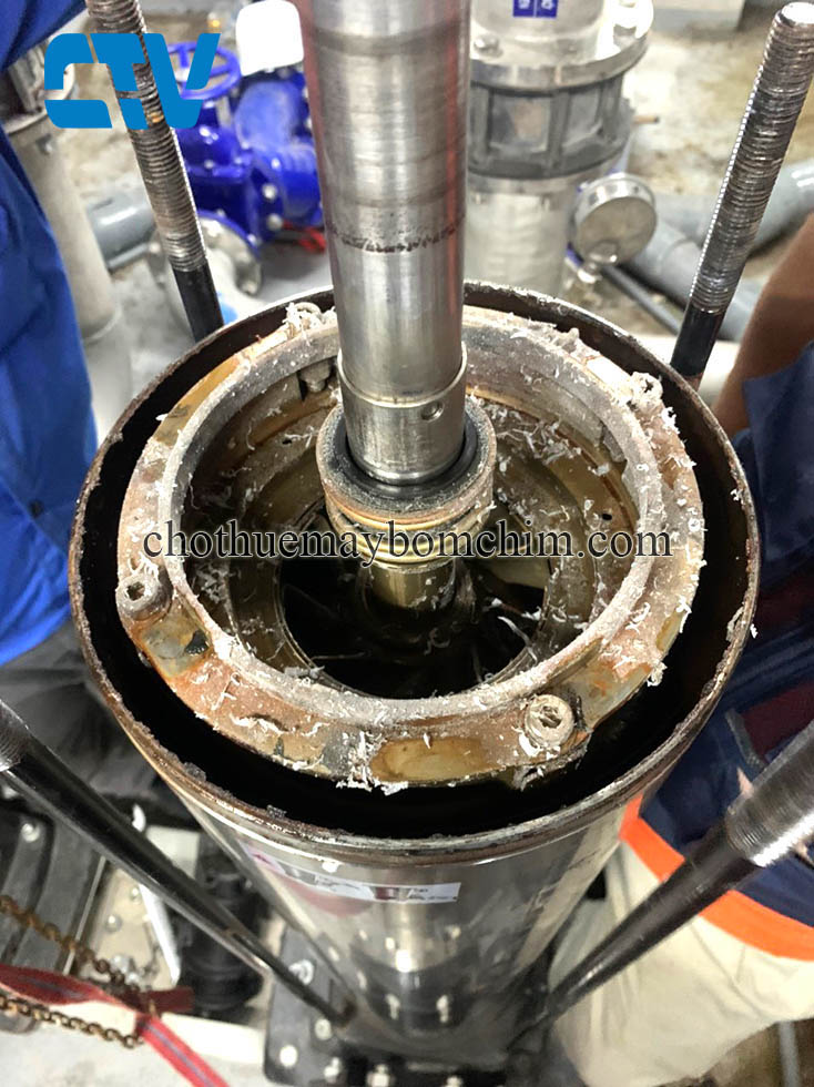 Cách nhận biết phớt máy bơm trục đứng bị hỏng và hướng xử lý