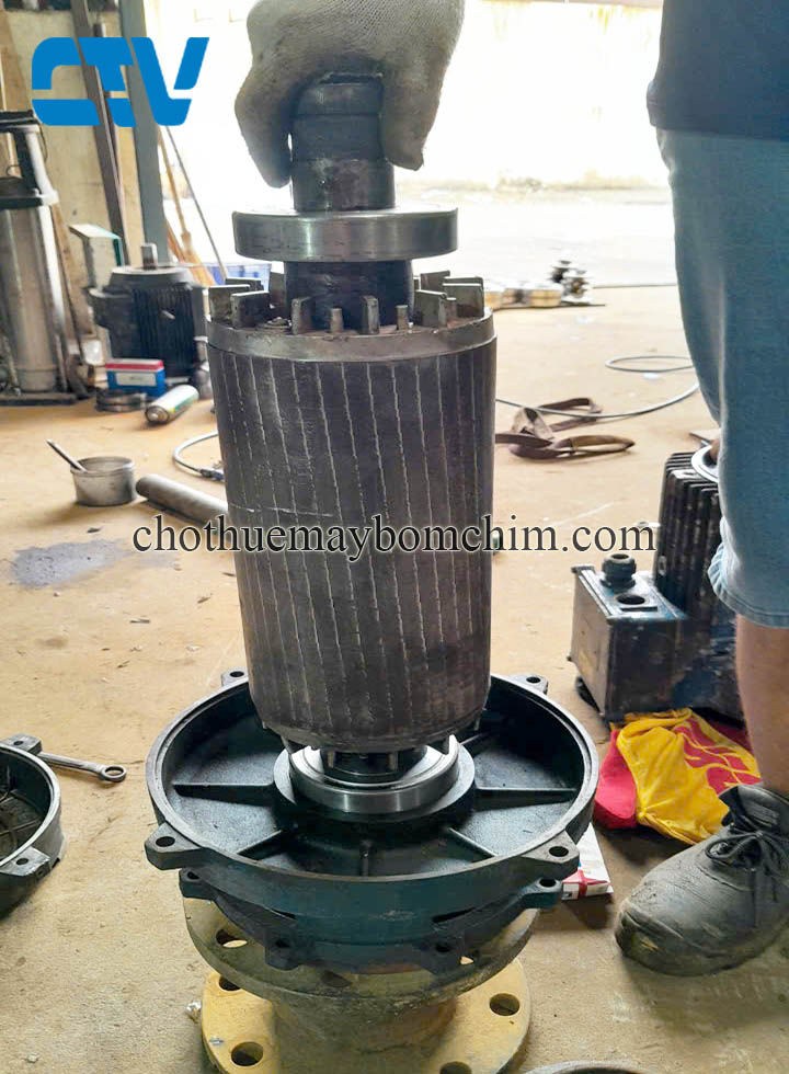 Hướng Dẫn Thay Thế Vòng Bi Máy Bơm Nước Đúng Cách