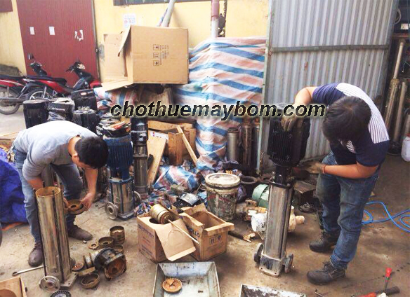 Cường Thịnh Vương chuyên cho thuê máy bơm trục đứng