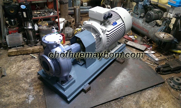 Cường Thịnh Vương-địa chỉ cho thuê máy bơm trục rời uy tín