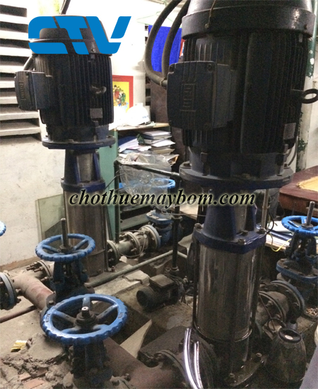 Cho thuê máy bơm trục đứng công suất cao tại Miền Bắc