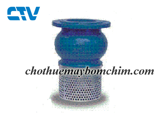 Van hút - Rọ bơm AUT DN150
