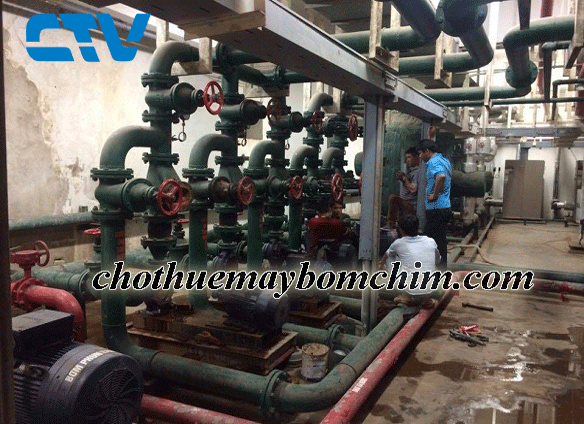 Cường Thịnh Vương lắp đặt hệ thống máy bơm công nghiệp