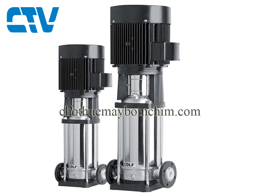 Máy bơm trục đứng CNP CDLF 12 - 14