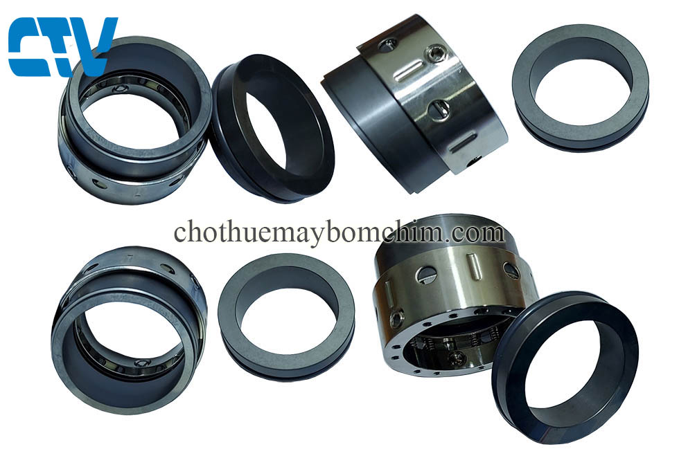 Phớt bậc chịu nhiệt Type 58B/59B