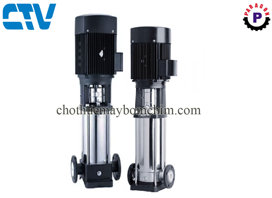 Máy bơm nước trục đứng Paragon PV 20-80