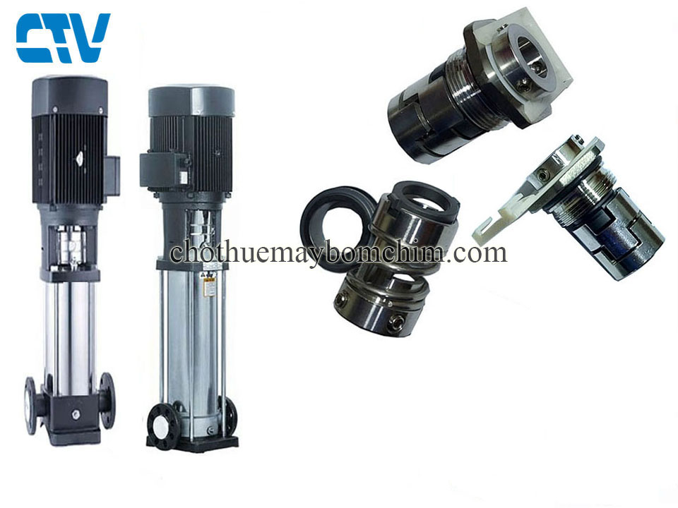 Phớt máy bơm trục đứng (phớt cơ khí) bơm Paragon PV85-20/2