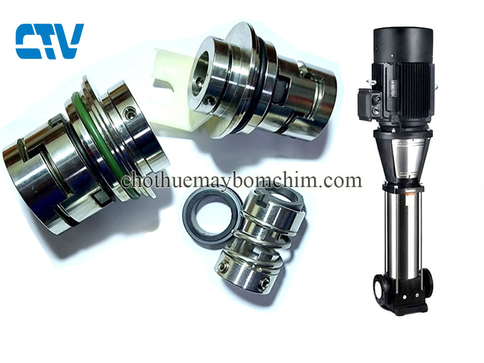 Phớt máy bơm trục đứng (phớt cơ khí) bơm Paragon PV20-150