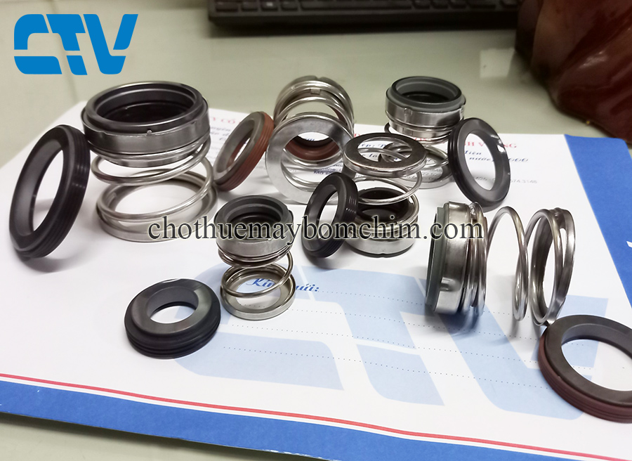 Phớt máy bơm trục ngang Stac type phớt BIA-53