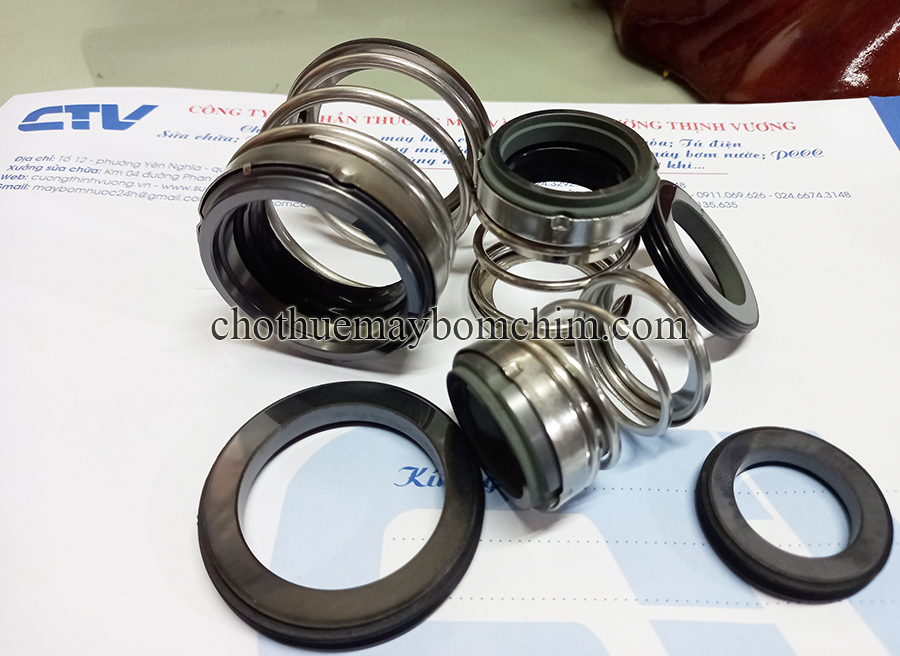 Phớt cơ khí máy bơm Lowara Type phớt BIA-75