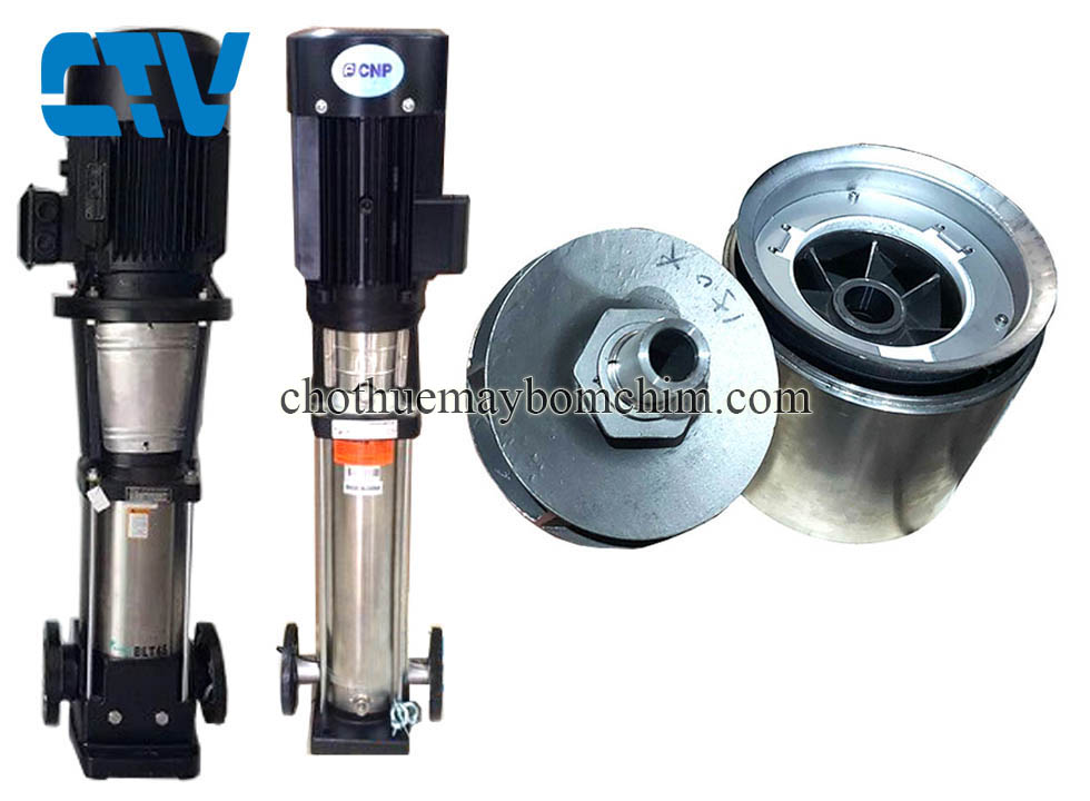 Phụ kiện máy bơm - Ruột bơm trục đứng CNP CDLF150-40-2