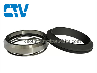 Phớt cơ khí, phớt sóng mùa xuân