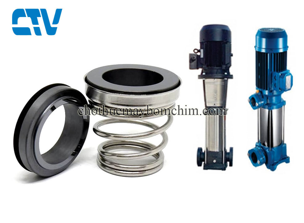 Phớt bơm trục đứng Loratech type 155 (155A)/29