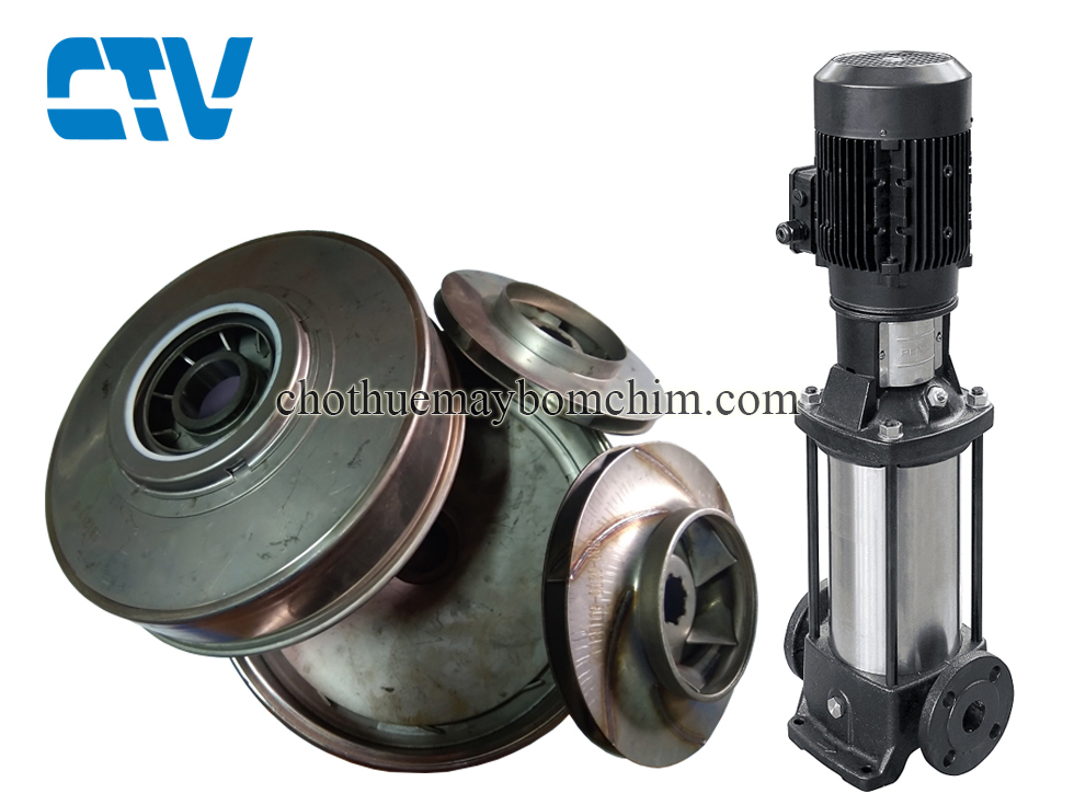 Phụ kiện máy bơm - Bộ ruột bơm trục đứng Ebara EVMSG20 8F5