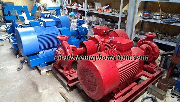 Dịch vụ cho thuê máy bơm công nghiệp uy tín
